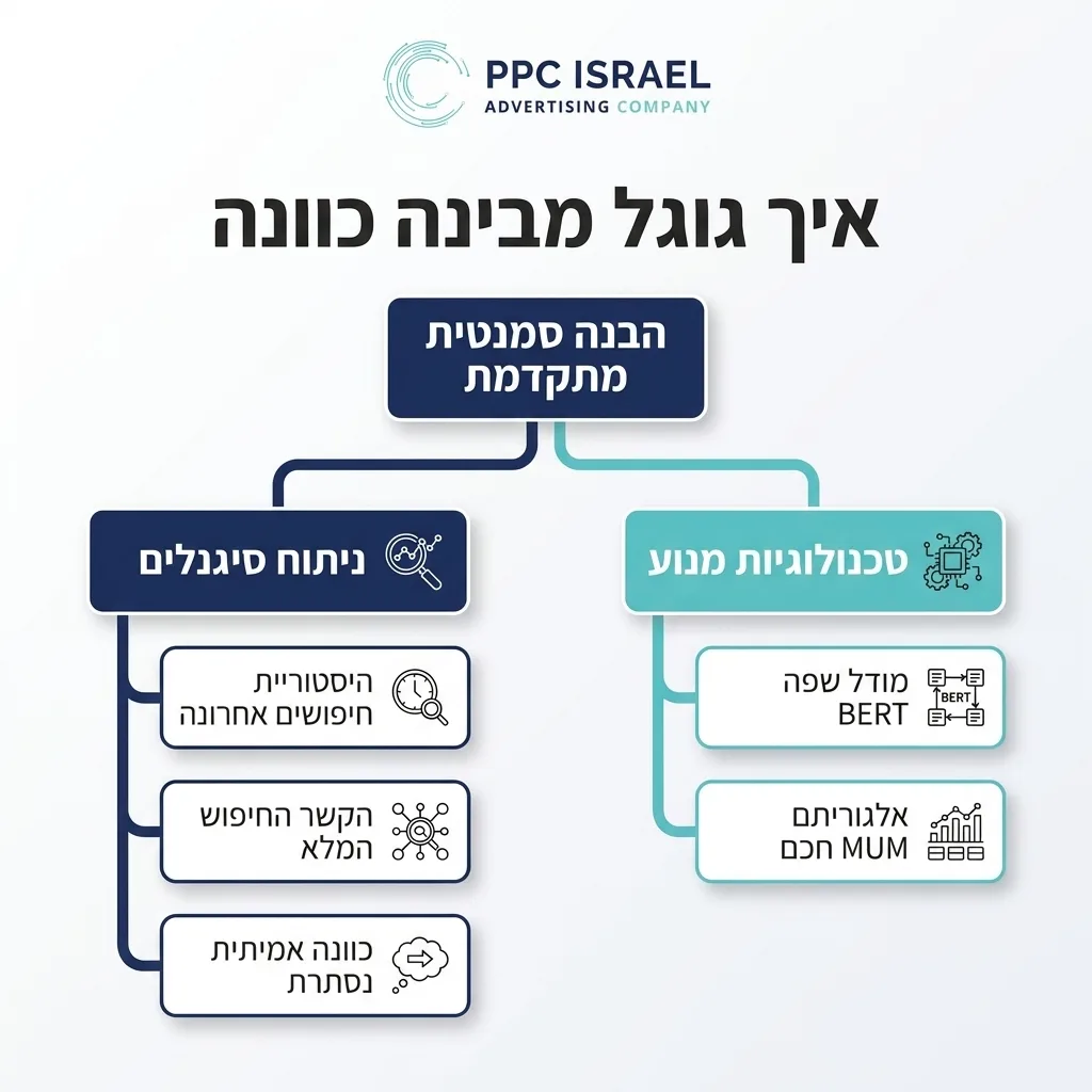 אינפוגרפיקה